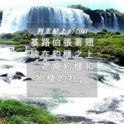 Picture 04 - 列 王 紀 上 8:7 CUVT - 基 路 伯 張 著 翅 膀 在 約 櫃 之 上 - Bible Verse Picture