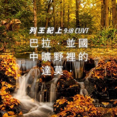 Picture 04 - 列 王 紀 上 9:18 CUVT - 巴 拉 ， 並 國 中 曠 野 裡 的 達 莫 - Bible Verse Picture