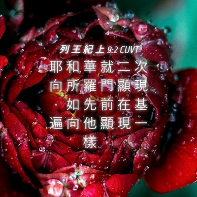 Picture 04 - 列 王 紀 上 9:2 CUVT - 耶 和 華 就 二 次 向 所 羅 門 顯 現 - Bible Verse Picture