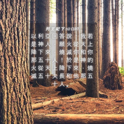 Picture 04 - 列 王 紀 下 1:12 CUVT - 以 利 亞 回 答 說 ： 我 若 是 神 人 - Bible Verse Picture