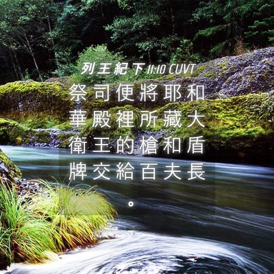 Picture 04 - 列 王 紀 下 11:10 CUVT - 祭 司 便 將 耶 和 華 殿 裡 所 藏 大 - Bible Verse Picture