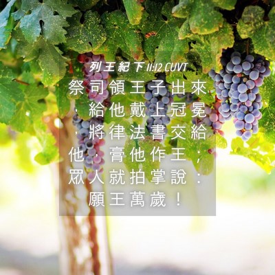 Picture 04 - 列 王 紀 下 11:12 CUVT - 祭 司 領 王 子 出 來 ， 給 他 戴 上 - Bible Verse Picture