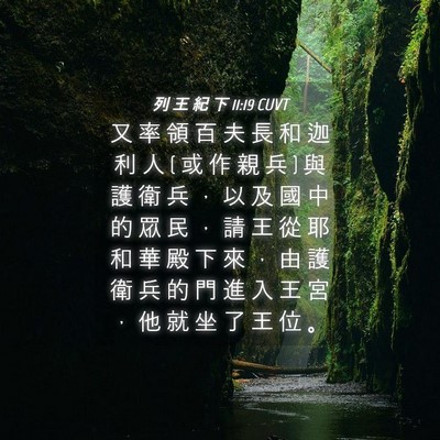 Picture 04 - 列 王 紀 下 11:19 CUVT - 又 率 領 百 夫 長 和 迦 利 人 ( 或 作 - Bible Verse Picture