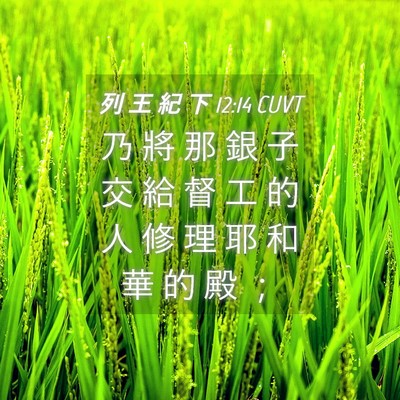 Picture 04 - 列 王 紀 下 12:14 CUVT - 乃 將 那 銀 子 交 給 督 工 的 人 修 - Bible Verse Picture