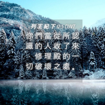 Picture 04 - 列 王 紀 下 12:5 CUVT - 你 們 當 從 所 認 識 的 人 收 了 來 - Bible Verse Picture