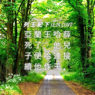 Picture 04 - 列 王 紀 下 13:24 CUVT - 亞 蘭 王 哈 薛 死 了 ， 他 兒 子 便 - Bible Verse Picture
