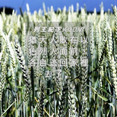Picture 04 - 列 王 紀 下 14:12 CUVT - 猶 大 人 敗 在 以 色 列 人 面 前 ， - Bible Verse Picture