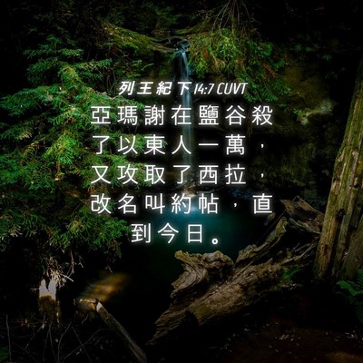 Picture 04 - 列 王 紀 下 14:7 CUVT - 亞 瑪 謝 在 鹽 谷 殺 了 以 東 人 一 - Bible Verse Picture