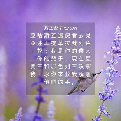 Picture 04 - 列 王 紀 下 16:7 CUVT - 亞 哈 斯 差 遣 使 者 去 見 亞 述 王 - Bible Verse Picture