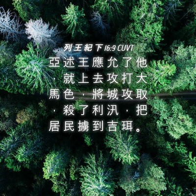 Picture 04 - 列 王 紀 下 16:9 CUVT - 亞 述 王 應 允 了 他 ， 就 上 去 攻 - Bible Verse Picture