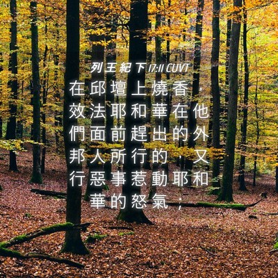 Picture 04 - 列 王 紀 下 17:11 CUVT - 在 邱 壇 上 燒 香 ， 效 法 耶 和 華 - Bible Verse Picture