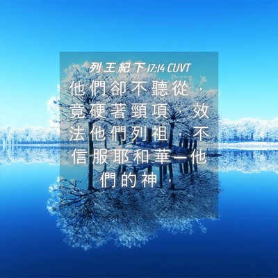 Picture 04 - 列 王 紀 下 17:14 CUVT - 他 們 卻 不 聽 從 ， 竟 硬 著 頸 項 - Bible Verse Picture