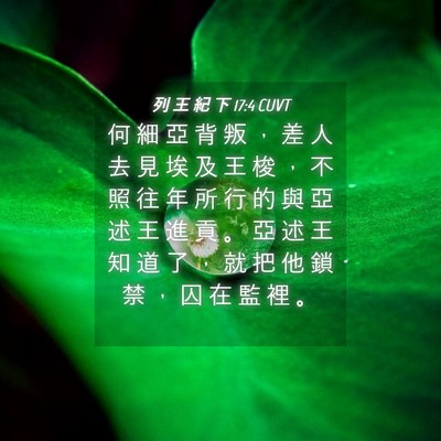 Picture 04 - 列 王 紀 下 17:4 CUVT - 何 細 亞 背 叛 ， 差 人 去 見 埃 及 - Bible Verse Picture