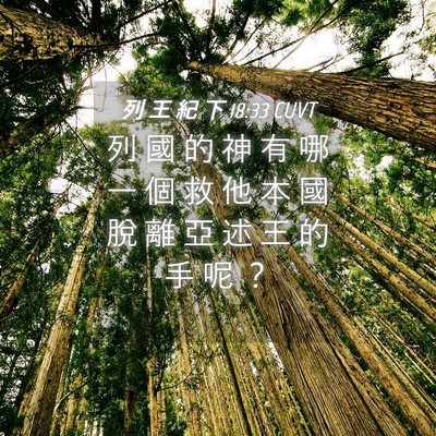 Picture 04 - 列 王 紀 下 18:33 CUVT - 列 國 的 神 有 哪 一 個 救 他 本 國 - Bible Verse Picture