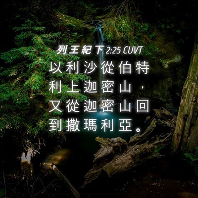 Picture 04 - 列 王 紀 下 2:25 CUVT - 以 利 沙 從 伯 特 利 上 迦 密 山 ， - Bible Verse Picture