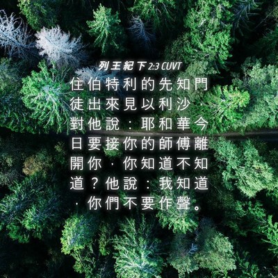 Picture 04 - 列 王 紀 下 2:3 CUVT - 住 伯 特 利 的 先 知 門 徒 出 來 見 - Bible Verse Picture