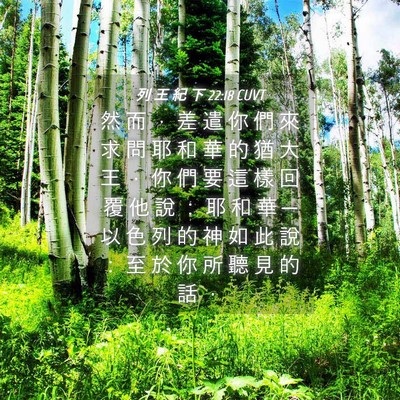 Picture 04 - 列 王 紀 下 22:18 CUVT - 然 而 ， 差 遣 你 們 來 求 問 耶 和 - Bible Verse Picture