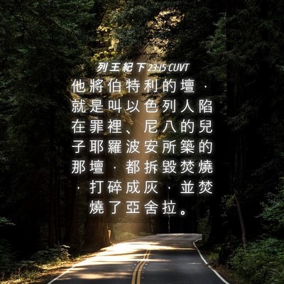 Picture 04 - 列 王 紀 下 23:15 CUVT - 他 將 伯 特 利 的 壇 ， 就 是 叫 以 - Bible Verse Picture