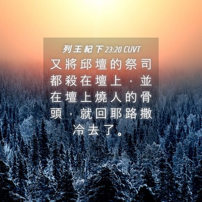 Picture 04 - 列 王 紀 下 23:20 CUVT - 又 將 邱 壇 的 祭 司 都 殺 在 壇 上 - Bible Verse Picture