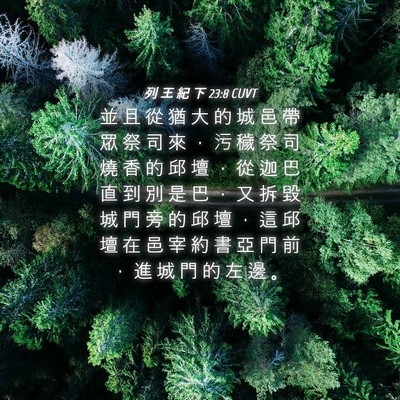 Picture 04 - 列 王 紀 下 23:8 CUVT - 並 且 從 猶 大 的 城 邑 帶 眾 祭 司 - Bible Verse Picture