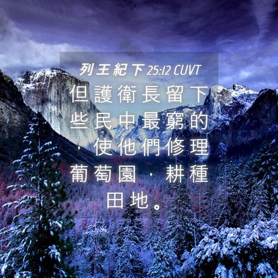 Picture 04 - 列 王 紀 下 25:12 CUVT - 但 護 衛 長 留 下 些 民 中 最 窮 的 - Bible Verse Picture
