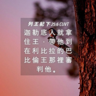 Picture 04 - 列 王 紀 下 25:6 CUVT - 迦 勒 底 人 就 拿 住 王 ， 帶 他 到 - Bible Verse Picture