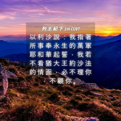 Picture 04 - 列 王 紀 下 3:14 CUVT - 以 利 沙 說 ： 我 指 著 所 事 奉 永 - Bible Verse Picture