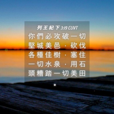 Picture 04 - 列 王 紀 下 3:19 CUVT - 你 們 必 攻 破 一 切 堅 城 美 邑 ， - Bible Verse Picture