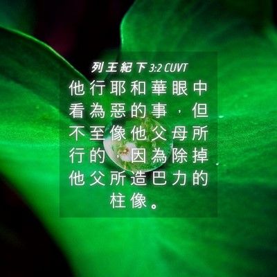 Picture 04 - 列 王 紀 下 3:2 CUVT - 他 行 耶 和 華 眼 中 看 為 惡 的 事 - Bible Verse Picture