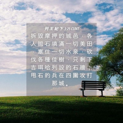 Picture 04 - 列 王 紀 下 3:25 CUVT - 拆 毀 摩 押 的 城 邑 ， 各 人 拋 石 - Bible Verse Picture