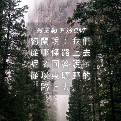 Picture 04 - 列 王 紀 下 3:8 CUVT - 約 蘭 說 ： 我 們 從 哪 條 路 上 去 - Bible Verse Picture