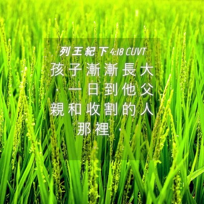 Picture 04 - 列 王 紀 下 4:18 CUVT - 孩 子 漸 漸 長 大 ， 一 日 到 他 父 - Bible Verse Picture
