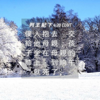Picture 04 - 列 王 紀 下 4:20 CUVT - 僕 人 抱 去 ， 交 給 他 母 親 ； 孩 - Bible Verse Picture