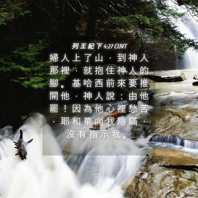 Picture 04 - 列 王 紀 下 4:27 CUVT - 婦 人 上 了 山 ， 到 神 人 那 裡 ， - Bible Verse Picture
