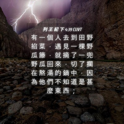 Picture 04 - 列 王 紀 下 4:39 CUVT - 有 一 個 人 去 到 田 野 掐 菜 ， 遇 - Bible Verse Picture