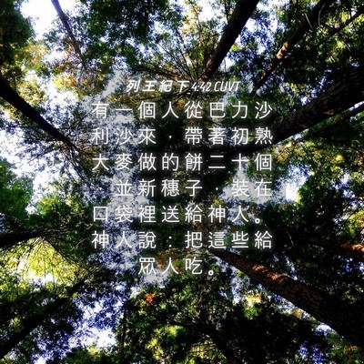Picture 04 - 列 王 紀 下 4:42 CUVT - 有 一 個 人 從 巴 力 沙 利 沙 來 ， - Bible Verse Picture