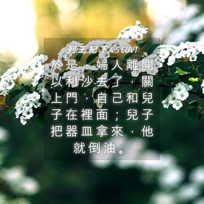Picture 04 - 列 王 紀 下 4:5 CUVT - 於 是 ， 婦 人 離 開 以 利 沙 去 了 - Bible Verse Picture