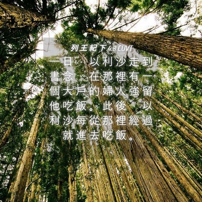 Picture 04 - 列 王 紀 下 4:8 CUVT - 一 日 ， 以 利 沙 走 到 書 念 ， 在 - Bible Verse Picture