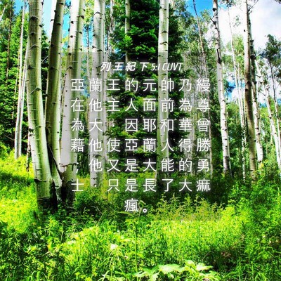 Picture 04 - 列 王 紀 下 5:1 CUVT - 亞 蘭 王 的 元 帥 乃 縵 在 他 主 人 - Bible Verse Picture