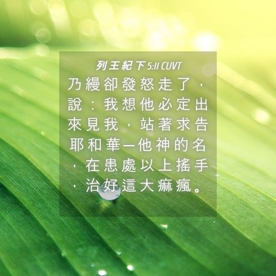 Picture 04 - 列 王 紀 下 5:11 CUVT - 乃 縵 卻 發 怒 走 了 ， 說 ： 我 想 - Bible Verse Picture