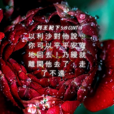 Picture 04 - 列 王 紀 下 5:19 CUVT - 以 利 沙 對 他 說 ： 你 可 以 平 平 - Bible Verse Picture