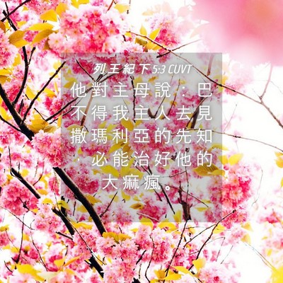 Picture 04 - 列 王 紀 下 5:3 CUVT - 他 對 主 母 說 ： 巴 不 得 我 主 人 - Bible Verse Picture