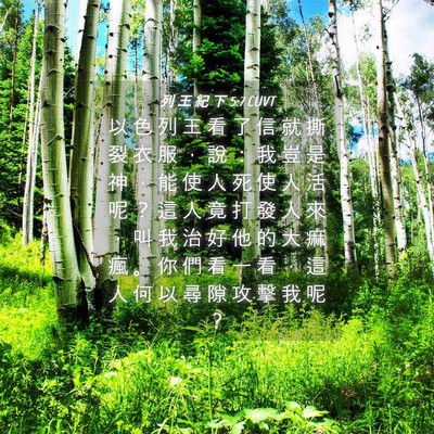 Picture 04 - 列 王 紀 下 5:7 CUVT - 以 色 列 王 看 了 信 就 撕 裂 衣 服 - Bible Verse Picture
