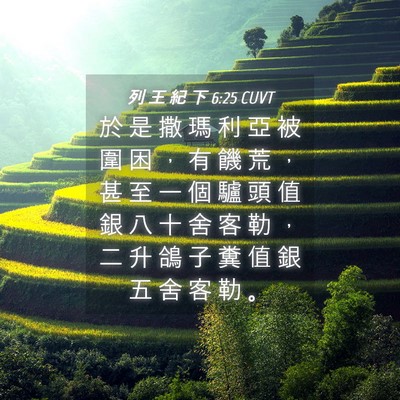 Picture 04 - 列 王 紀 下 6:25 CUVT - 於 是 撒 瑪 利 亞 被 圍 困 ， 有 饑 - Bible Verse Picture