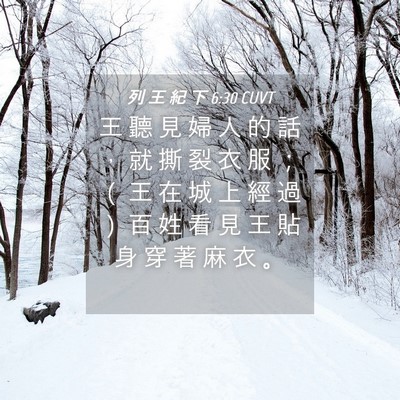 Picture 04 - 列 王 紀 下 6:30 CUVT - 王 聽 見 婦 人 的 話 ， 就 撕 裂 衣 - Bible Verse Picture