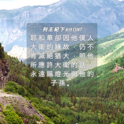 Picture 04 - 列 王 紀 下 8:19 CUVT - 耶 和 華 卻 因 他 僕 人 大 衛 的 緣 - Bible Verse Picture