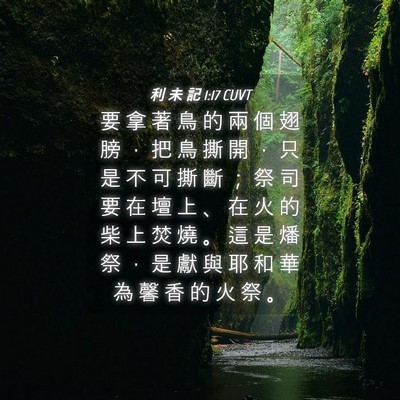 Picture 04 - 利 未 記 1:17 CUVT - 要 拿 著 鳥 的 兩 個 翅 膀 ， 把 鳥 - Bible Verse Picture