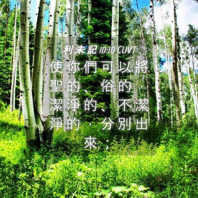 Picture 04 - 利 未 記 10:10 CUVT - 使 你 們 可 以 將 聖 的 、 俗 的 ， - Bible Verse Picture