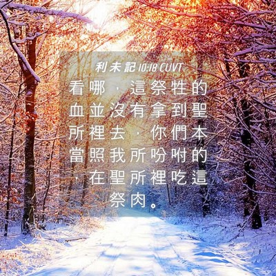 Picture 04 - 利 未 記 10:18 CUVT - 看 哪 ， 這 祭 牲 的 血 並 沒 有 拿 - Bible Verse Picture