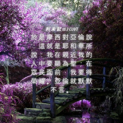 Picture 04 - 利 未 記 10:3 CUVT - 於 是 摩 西 對 亞 倫 說 ： 這 就 是 - Bible Verse Picture